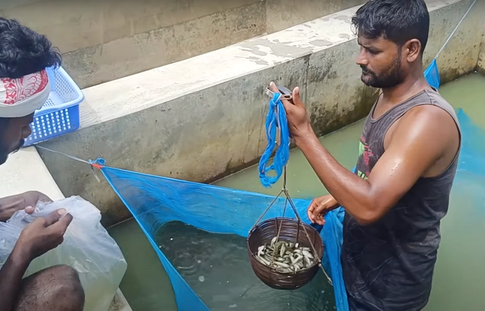 बिहार सरकार ने मछुआरों के लिए लांच किया नया पोर्टल, यहाँ ऑनलाइन कर सकते हैं रजिस्ट्रेशन