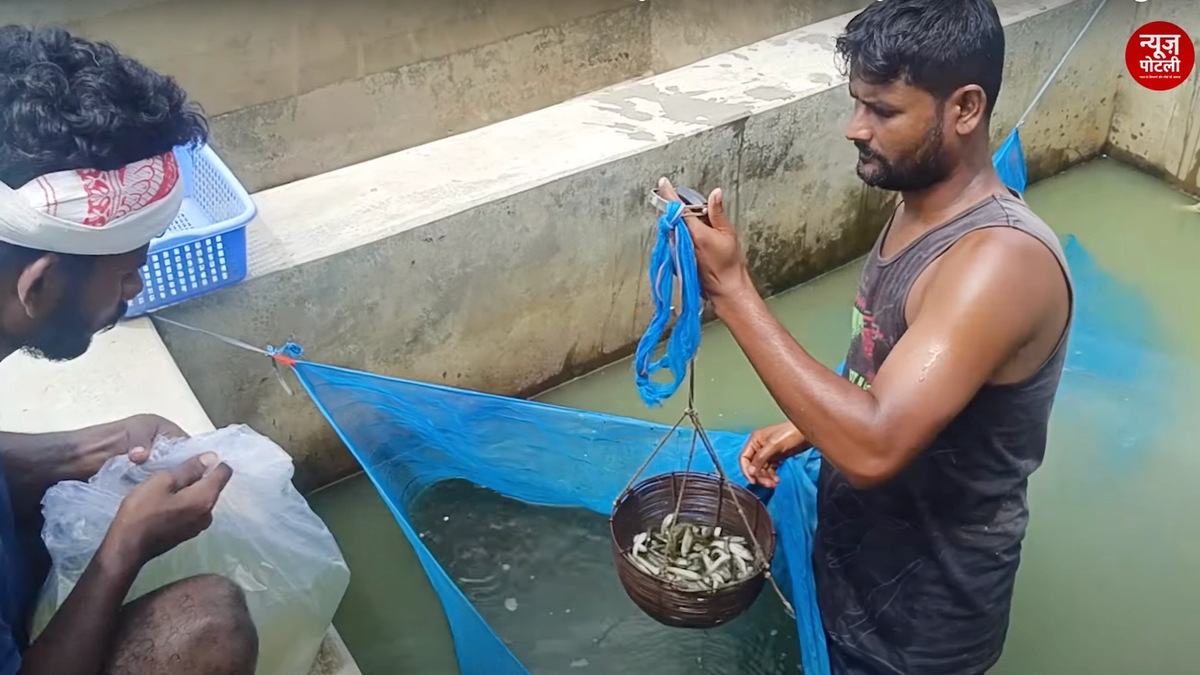 बिहार सरकार ने मछुआरों के लिए लांच किया नया पोर्टल, यहाँ ऑनलाइन कर सकते हैं रजिस्ट्रेशन