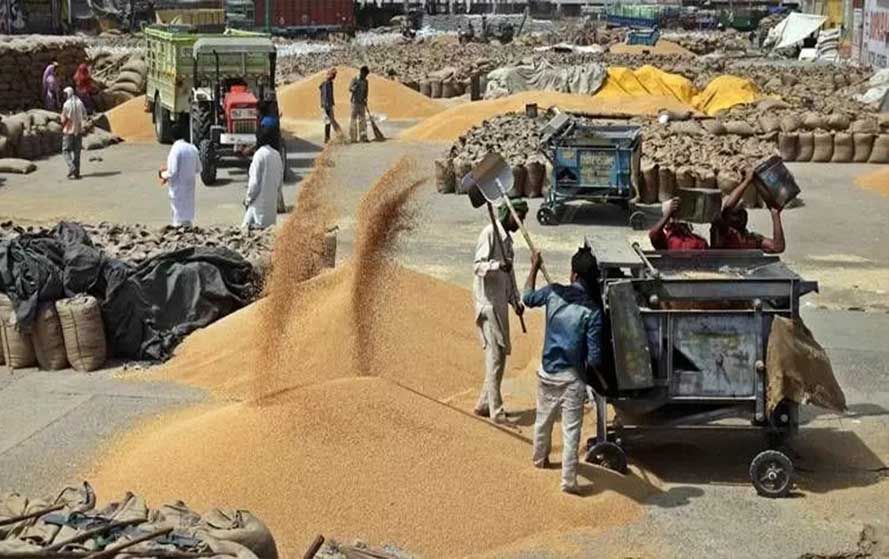 बिहार में 1 अप्रैल से शुरू होगी गेहूं की खरीद, 2 लाख टन गेहूं खरीदने का लक्ष्य