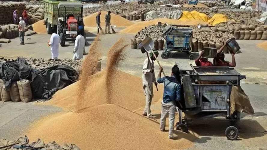 बिहार में 1 अप्रैल से शुरू होगी गेहूं की खरीद, 2 लाख टन गेहूं खरीदने का लक्ष्य