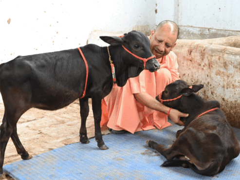 योगी सरकार नई पीढ़ी, खासकर Gen Z युवाओं को गो संरक्षण और गो सेवा से जोड़ने के लिए गांव-गांव अभियान चलाएगी। 