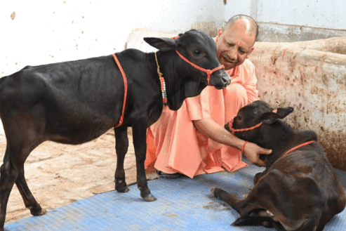 योगी सरकार नई पीढ़ी, खासकर Gen Z युवाओं को गो संरक्षण और गो सेवा से जोड़ने के लिए गांव-गांव अभियान चलाएगी।