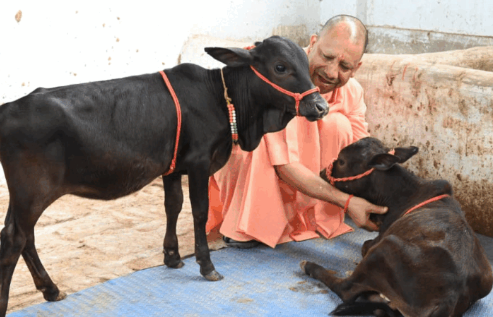 योगी सरकार नई पीढ़ी, खासकर Gen Z युवाओं को गो संरक्षण और गो सेवा से जोड़ने के लिए गांव-गांव अभियान चलाएगी।