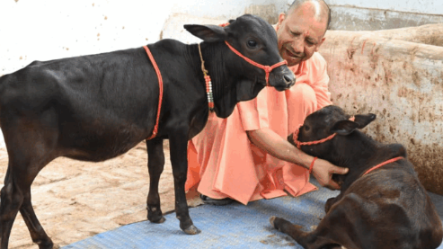 योगी सरकार नई पीढ़ी, खासकर Gen Z युवाओं को गो संरक्षण और गो सेवा से जोड़ने के लिए गांव-गांव अभियान चलाएगी।