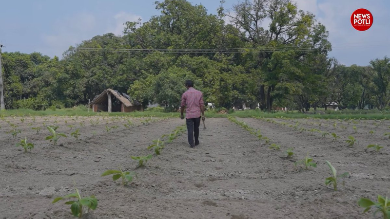 देश के 11 करोड़ किसानों को मिला Farmer ID, जानें इसके फायदे और इस्तेमाल