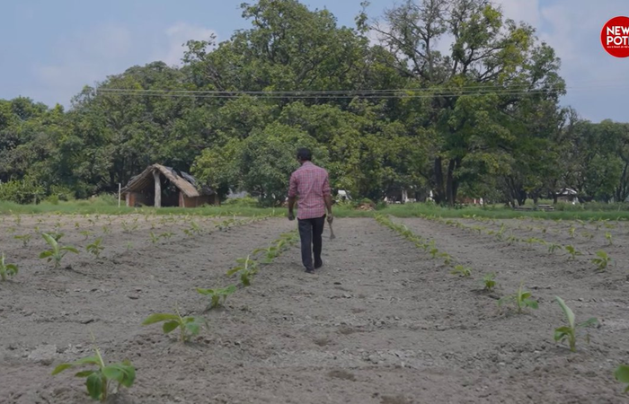 देश के 11 करोड़ किसानों को मिला Farmer ID, जानें इसके फायदे और इस्तेमाल