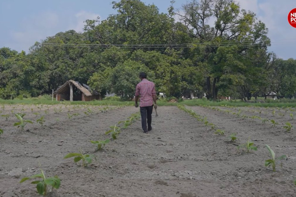 देश के 11 करोड़ किसानों को मिला Farmer ID, जानें इसके फायदे और इस्तेमाल