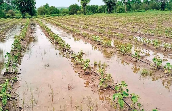 देश में सामान्य से 15% कम हुई मानसूनी बारिश