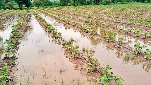 देश में सामान्य से 15% कम हुई मानसूनी बारिश