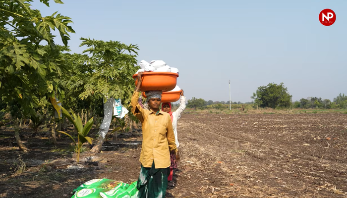 कमजोर मानसून का ग्रामीण आय पर असर घटा, खेती के अलावा दूसरे काम बने सहारा: RBI