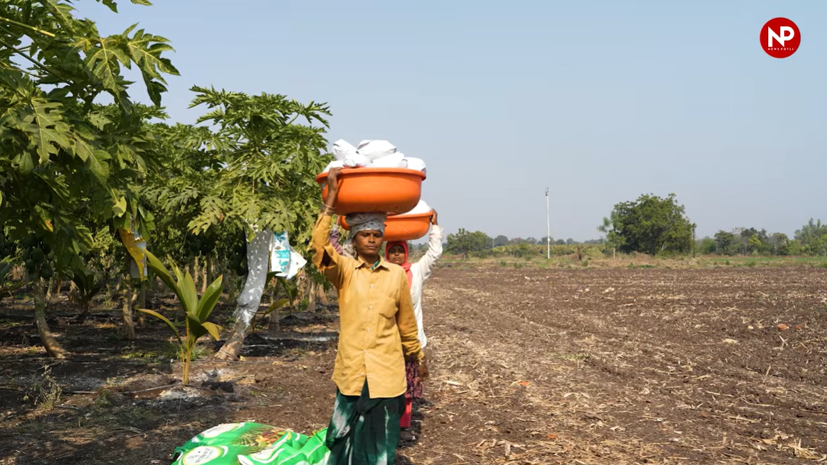 कमजोर मानसून का ग्रामीण आय पर असर घटा, खेती के अलावा दूसरे काम बने सहारा: RBI