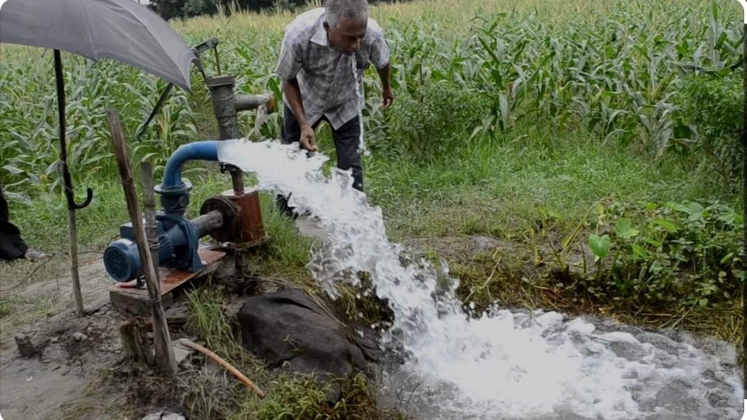 फसलों के उत्पादन में 8% की गिरावट, पशुओं से मिलने वाले उत्पादों में बढ़ोतरी से राहत