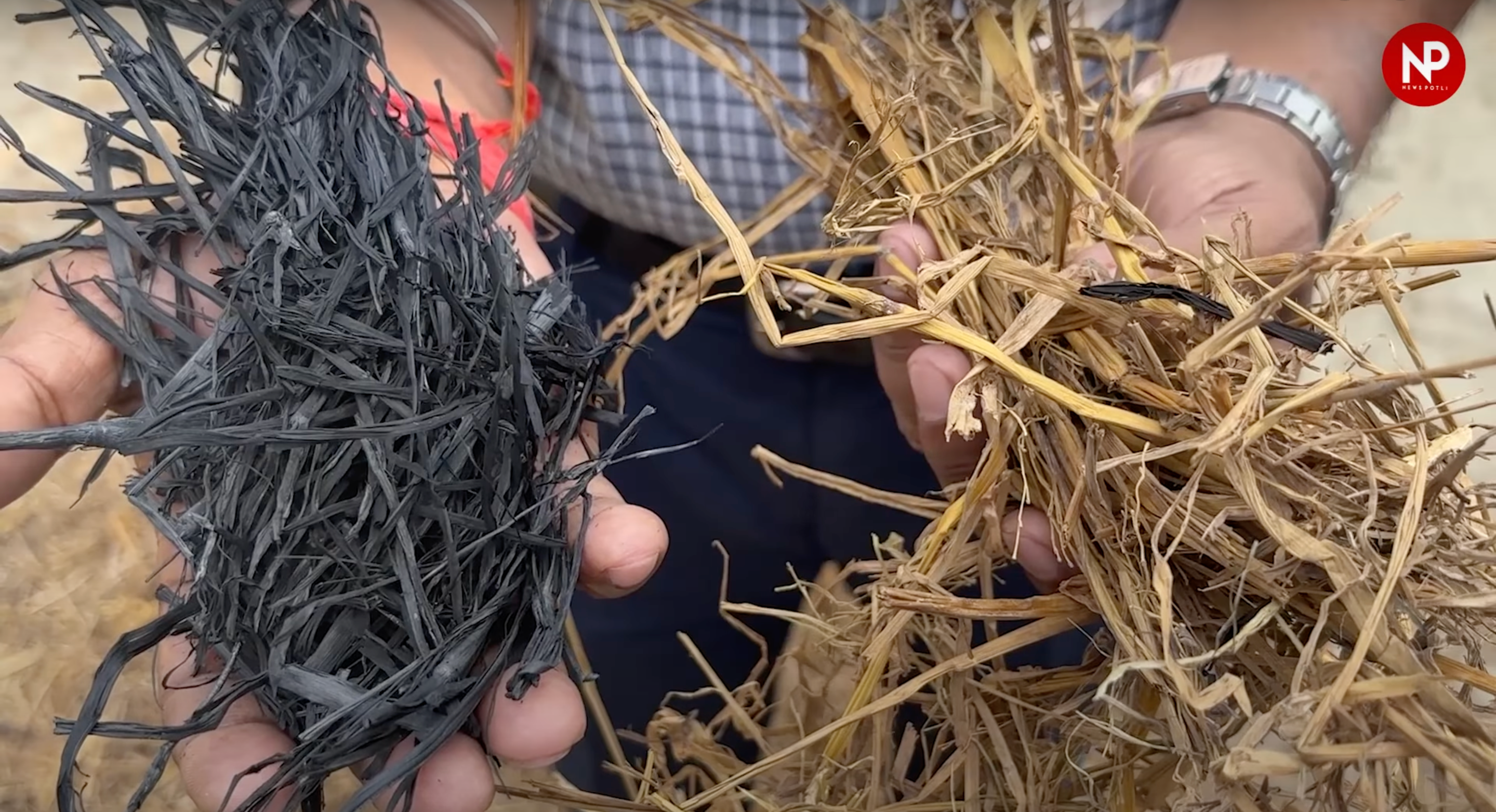 Biochar क्या है? बनाने की आसान विधि और फायदे भी जानिए..