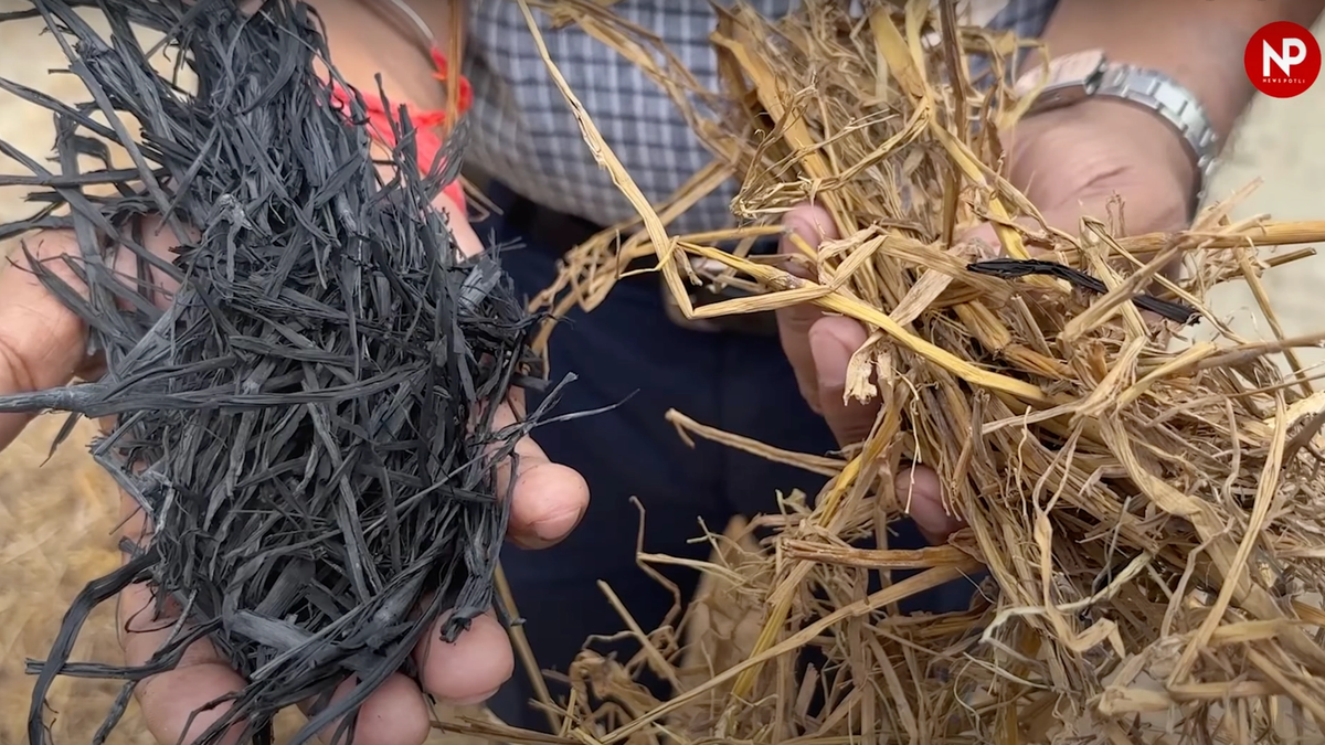 Biochar क्या है? बनाने की आसान विधि और फायदे भी जानिए..
