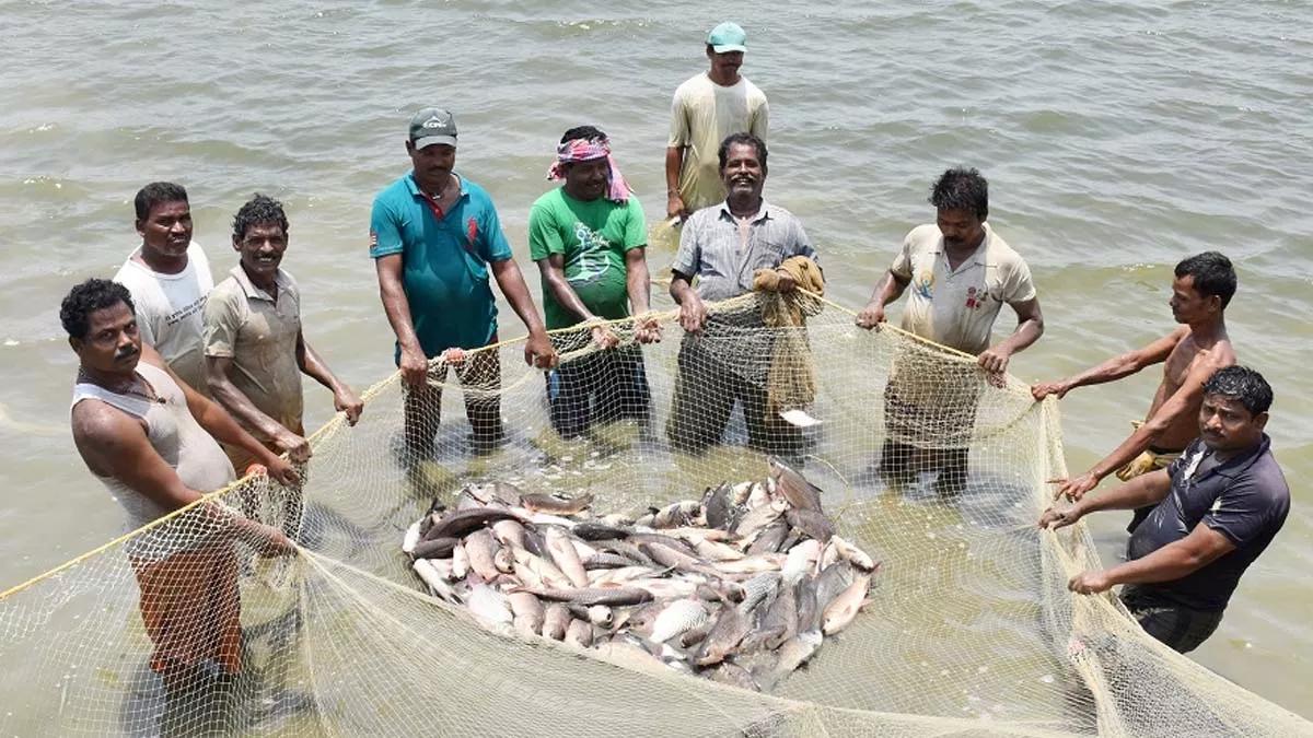 बिहार सरकार की इस योजना के तहत आप बेकार पड़ी जमीन पर कर  सकते हैं मछली पालन, 70 प्रतिशत की सब्सिडी भी मिलेगी