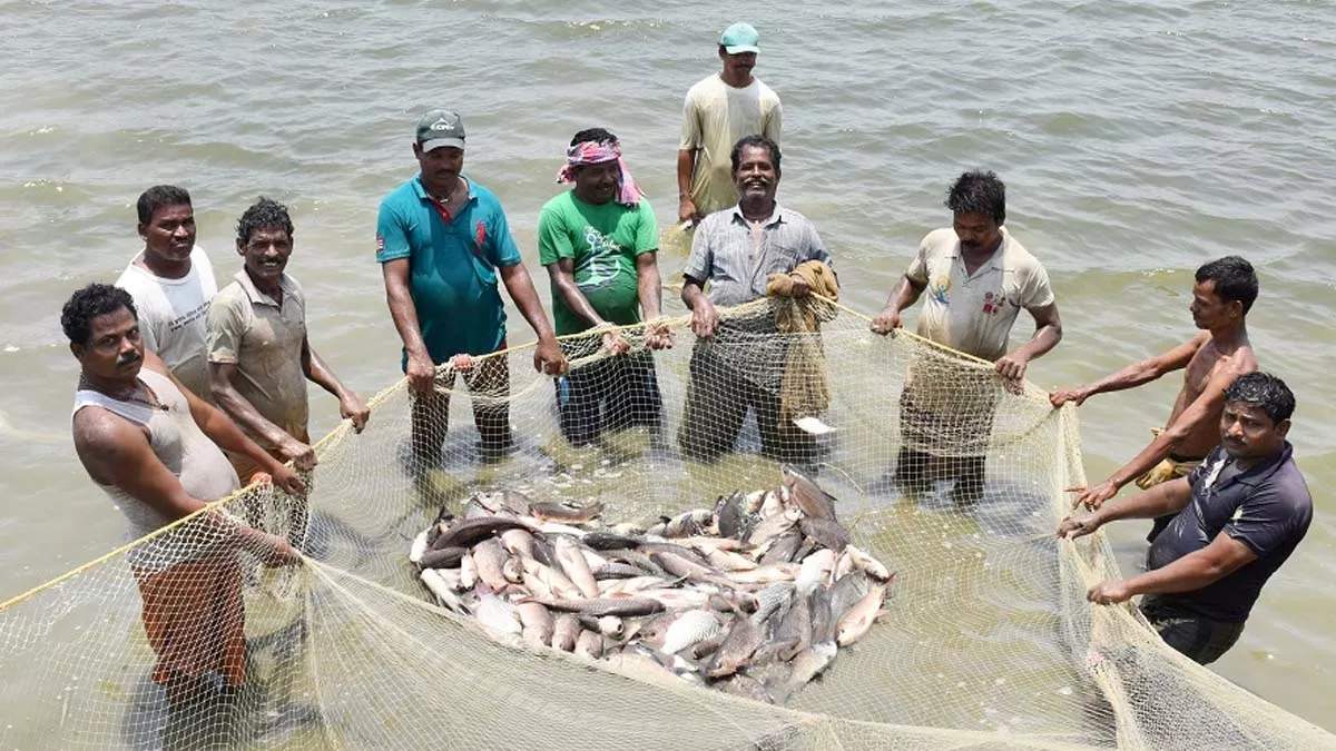 बिहार सरकार की इस योजना के तहत आप बेकार पड़ी जमीन पर कर सकते हैं मछली पालन, 70 प्रतिशत की सब्सिडी भी मिलेगी