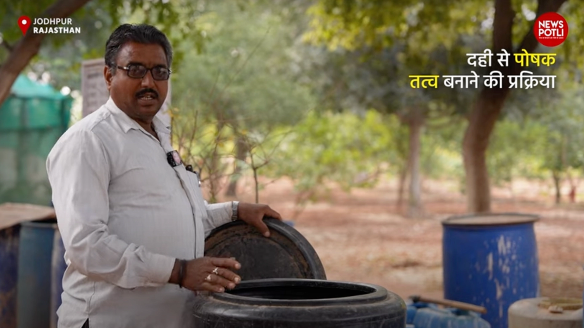 अंग्रेजी दवाओं की छुट्टी करेगा छांछ से बना ये Bio Pesticides, बनाने का तरीका समझिए...