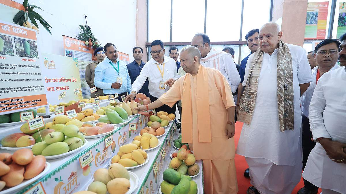 UP Mango Festival: सीएम योगी ने किया शुभारंभ, 800 से ज्यादा आम की किस्मों को देखने और चखने का अच्छा मौका