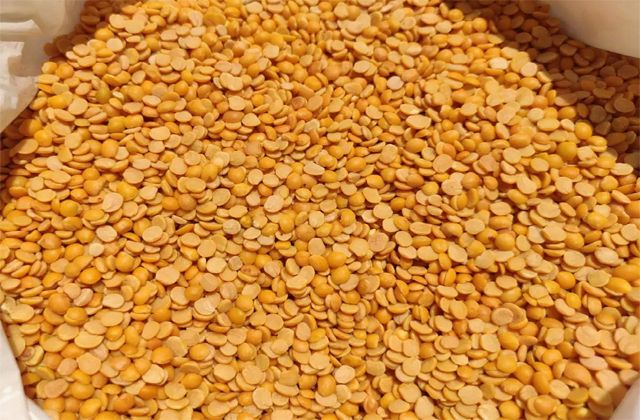अरहर दाल की MSP पर खरीद में तेजी, बफर स्टॉक में कमी को पूरा करेगी सरकार