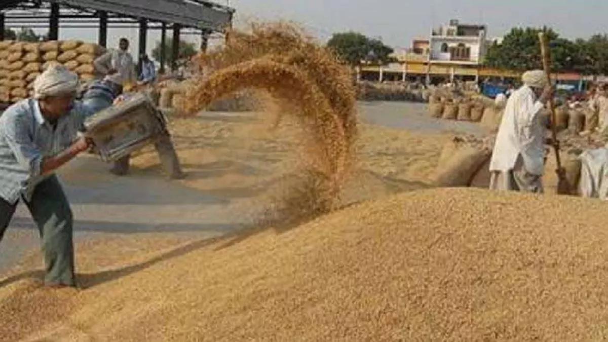 मध्य प्रदेश में 15 मार्च से शुरू होगी गेहूं की खरीद, किसानों को मिलेगा MSP से 175 रुपये प्रति क्विंटल अधिक दाम
