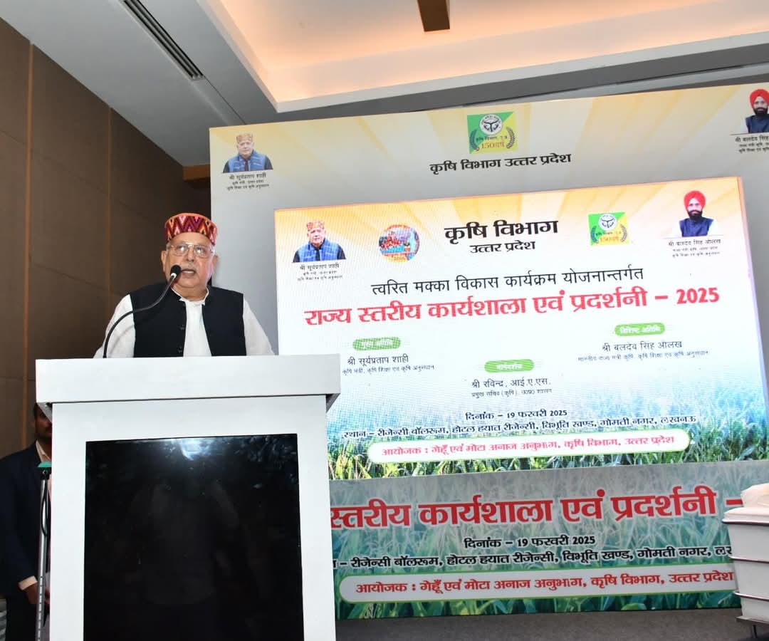 यूपी में मक्के की खेती को दिया जा रहा बढ़ावा, सरकार प्रति कुंतल बीज पर 15000 रुपये दे रही है सब्सिडी