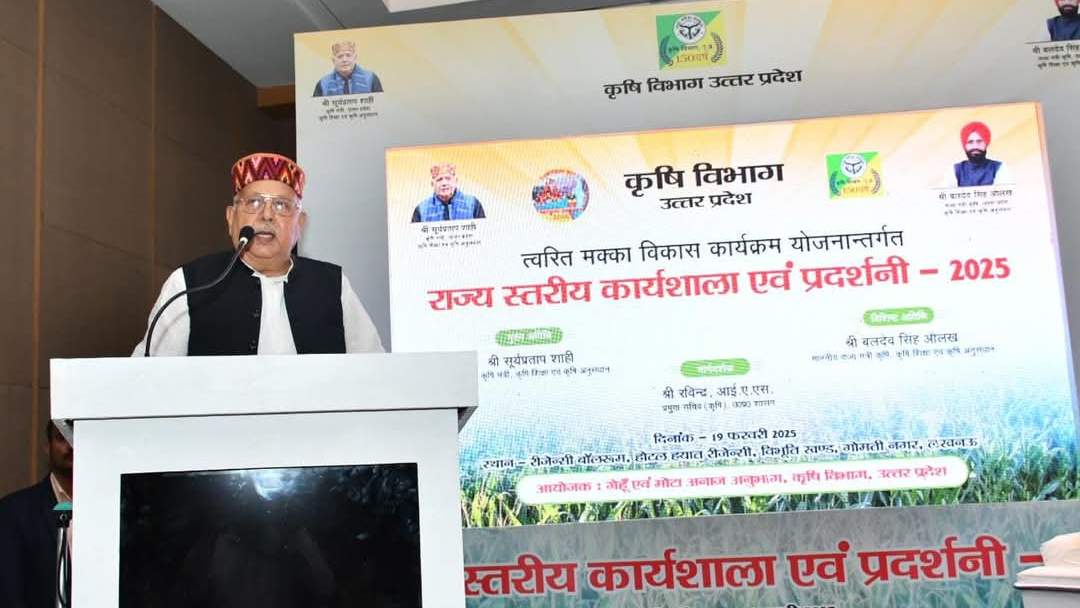 यूपी में मक्के की खेती को दिया जा रहा बढ़ावा, सरकार प्रति कुंतल बीज पर 15000 रुपये दे रही है सब्सिडी