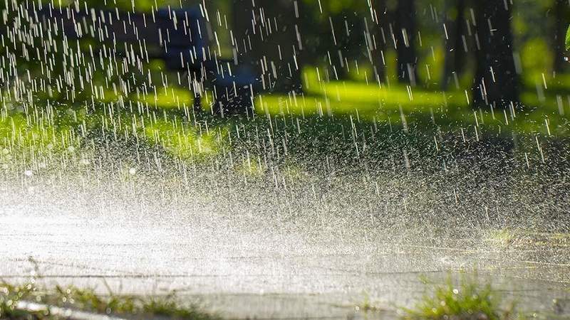 rainfall, imd