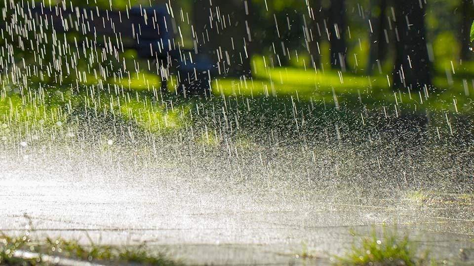 rainfall, imd