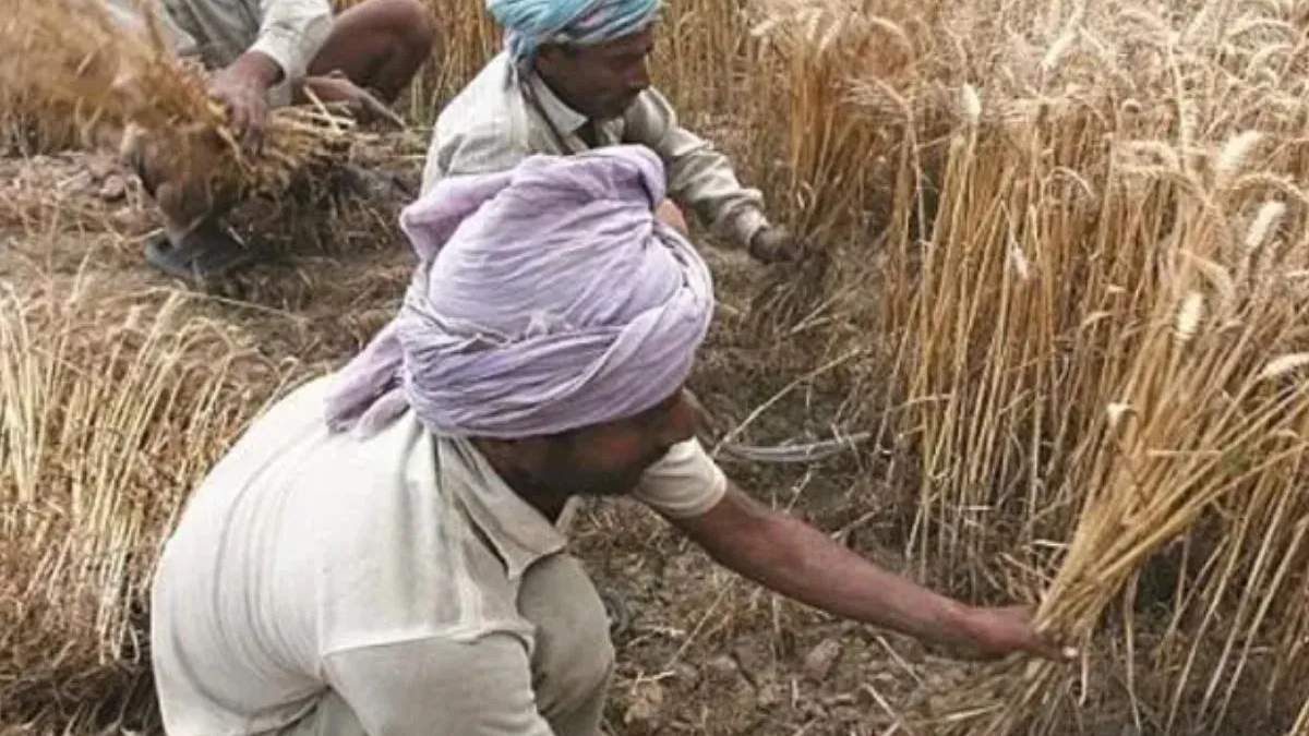 मौसम को देखते हुए किसान करें ये काम, पूसा ने 13 अप्रैल तक के लिए जारी की एडवाइजरी