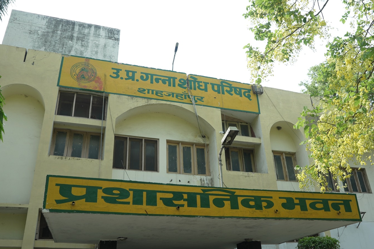 गन्ना किसानों के लिए 30 अक्टूबर को लगेगा ‘मिठास मेला’, उन्नत किस्मों और नई तकनीकों की मिलेगी जानकारी