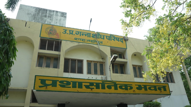 गन्ना किसानों के लिए 30 अक्टूबर को लगेगा ‘मिठास मेला’, उन्नत किस्मों और नई तकनीकों की मिलेगी जानकारी