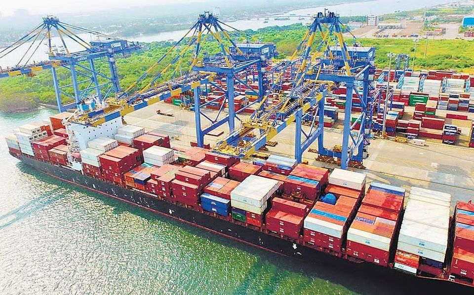 rice, rice export, bangladesh