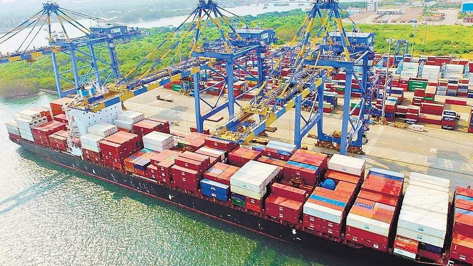 rice, rice export, bangladesh