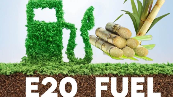 सरकार का दावा है कि यदि पेट्रोल में 20% इथेनॉल मिश्रण (E20) नहीं होता, तो वैश्विक कच्चे तेल की कीमतों में बढ़ोतरी के दौरान दिल्ली में पेट्रोल की कीमत करीब 125 रुपये प्रति लीटर तक पहुंच सकती थी।