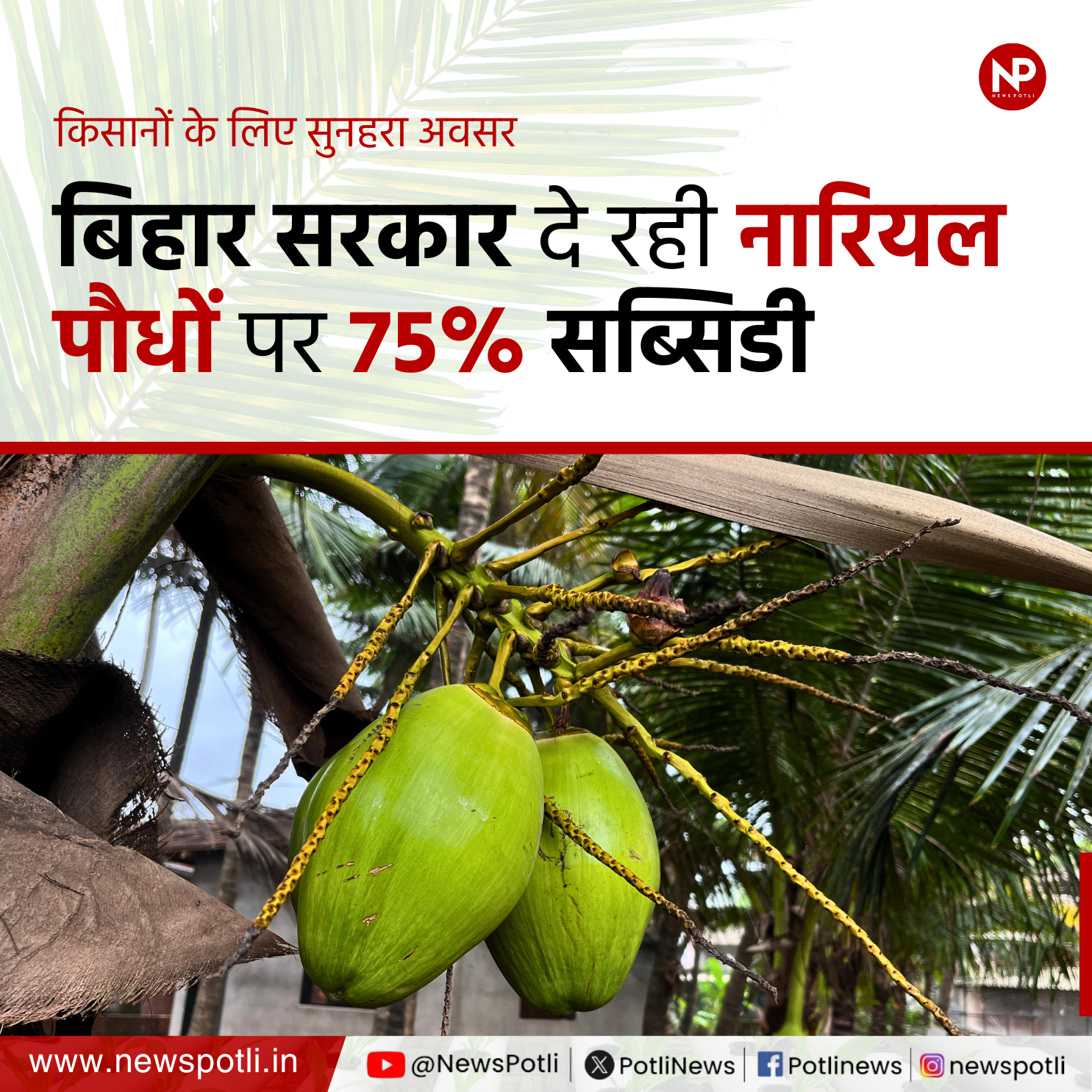 Sarkari Yojana: नारियल की बाग़वानी के लिए सरकार दे रही है 75 फीसदी का अनुदान, जल्द करें आवेदन