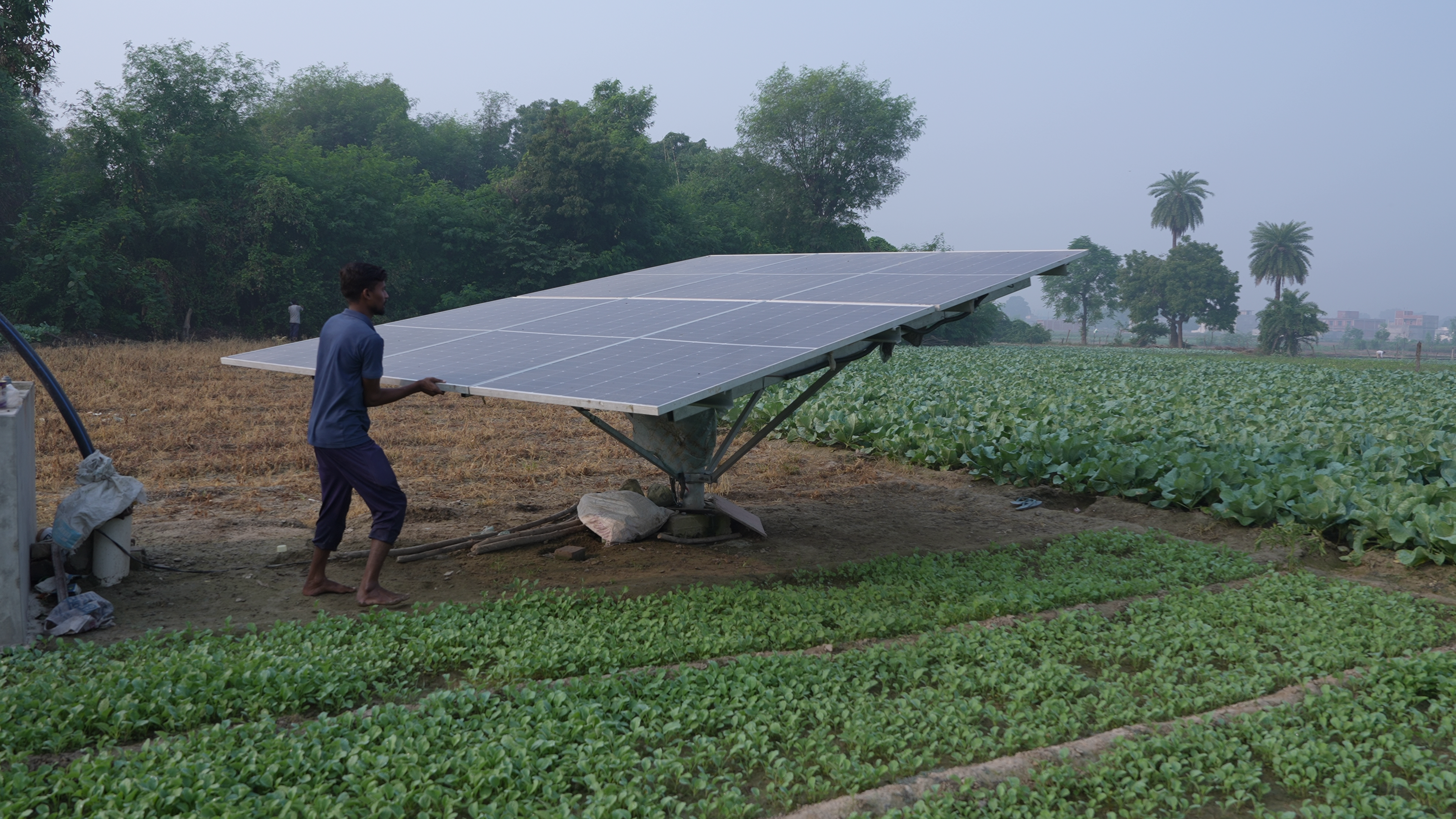 Renewable Energy कैसे बदल सकती है खेती की दुनिया?