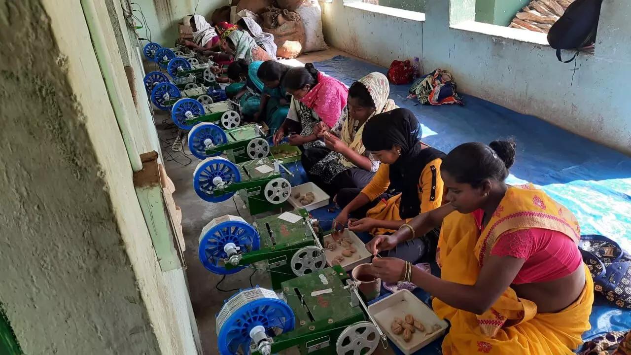 रेशम उद्योग के विकास के लिए 4,679.85 करोड़ रुपये खर्च,  लाभार्थियों में 55-60 प्रतिशत महिलाएं शामिल: सरकार