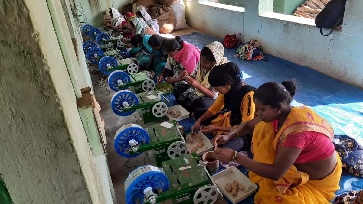 रेशम उद्योग के विकास के लिए 4,679.85 करोड़ रुपये खर्च, लाभार्थियों में 55-60 प्रतिशत महिलाएं शामिल: सरकार