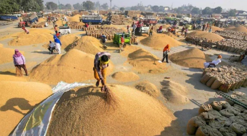 तेलंगाना में धान खरीद की तैयारी तेज, 65 लाख टन खरीद का लक्ष्य