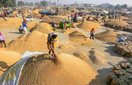 तेलंगाना में धान खरीद की तैयारी तेज, 65 लाख टन खरीद का लक्ष्य