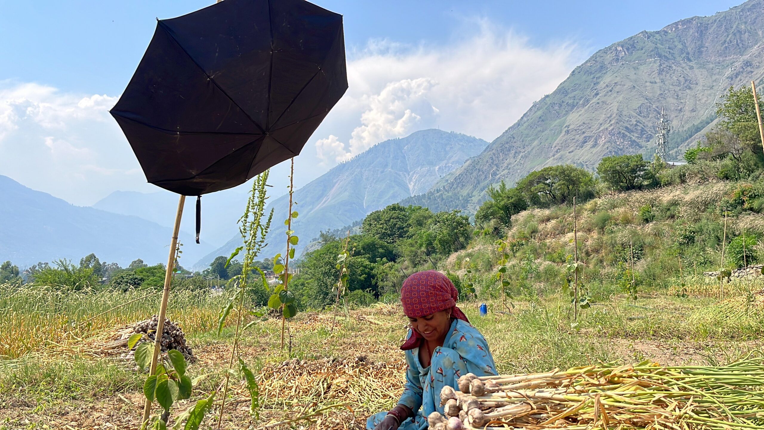 Heatwave Alert: उत्तर भारत में लगातार लू का अलर्ट जारी