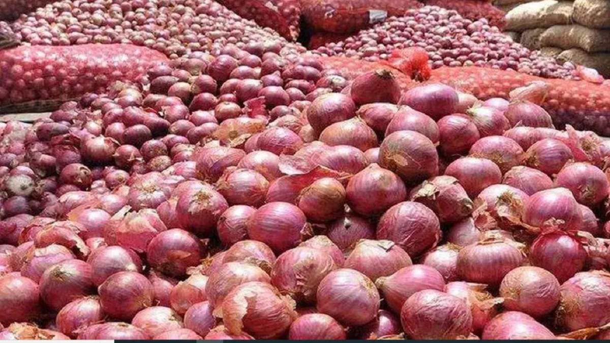प्याज स्टोरेज खोलने के लिए बिहार सरकार दे रही 75% सब्सिडी, ऐसे करें आवेदन