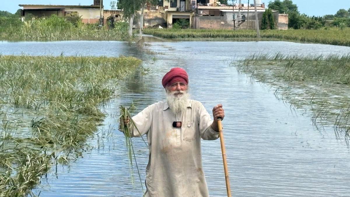 सितंबर तय करेगा खरीफ की पैदावार, अस्थिर मौसम से महंगाई का खतरा: क्रिसिल रिपोर्ट