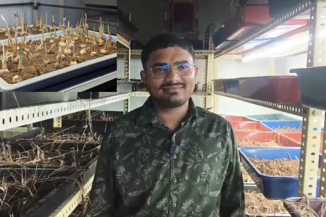 जयपालभाई रोहितभाई पंड्या