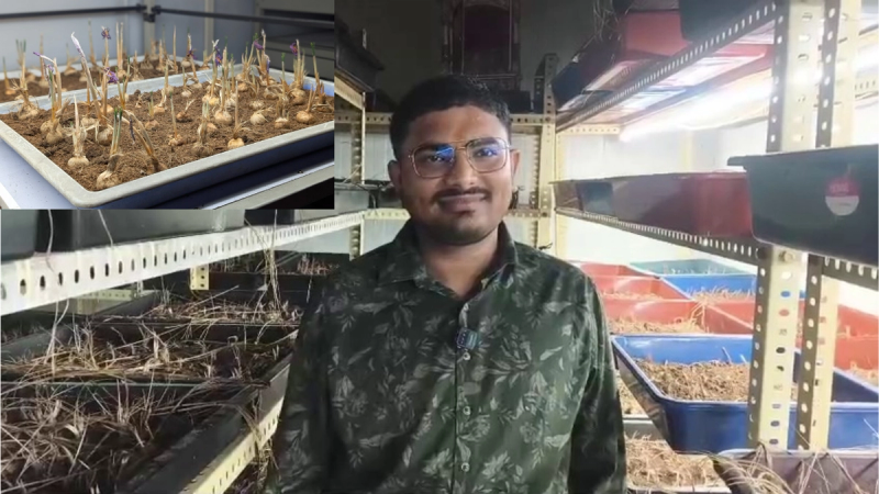 जयपालभाई रोहितभाई पंड्या