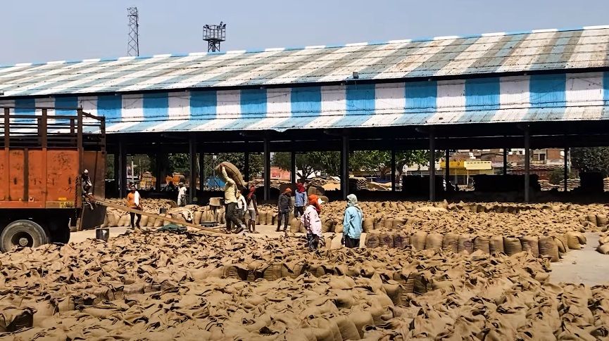 यूपी में 1 मार्च से शुरू होगी गेहूं की खरीदी
