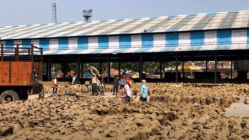 यूपी में 1 मार्च से शुरू होगी गेहूं की खरीदी
