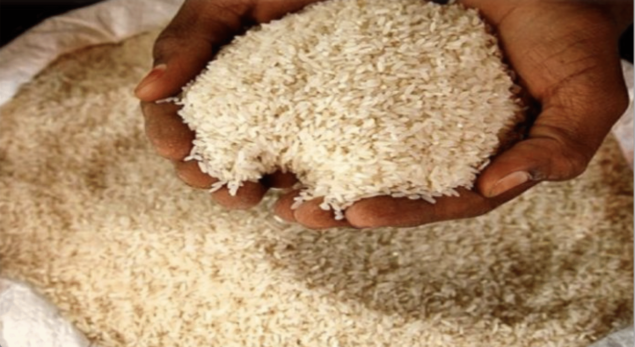 भारत बना दुनिया का सबसे बड़ा चावल उत्पादक, चीन को छोड़ा पीछे