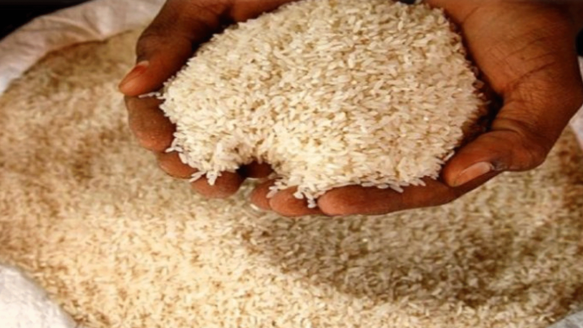 भारत बना दुनिया का सबसे बड़ा चावल उत्पादक, चीन को छोड़ा पीछे