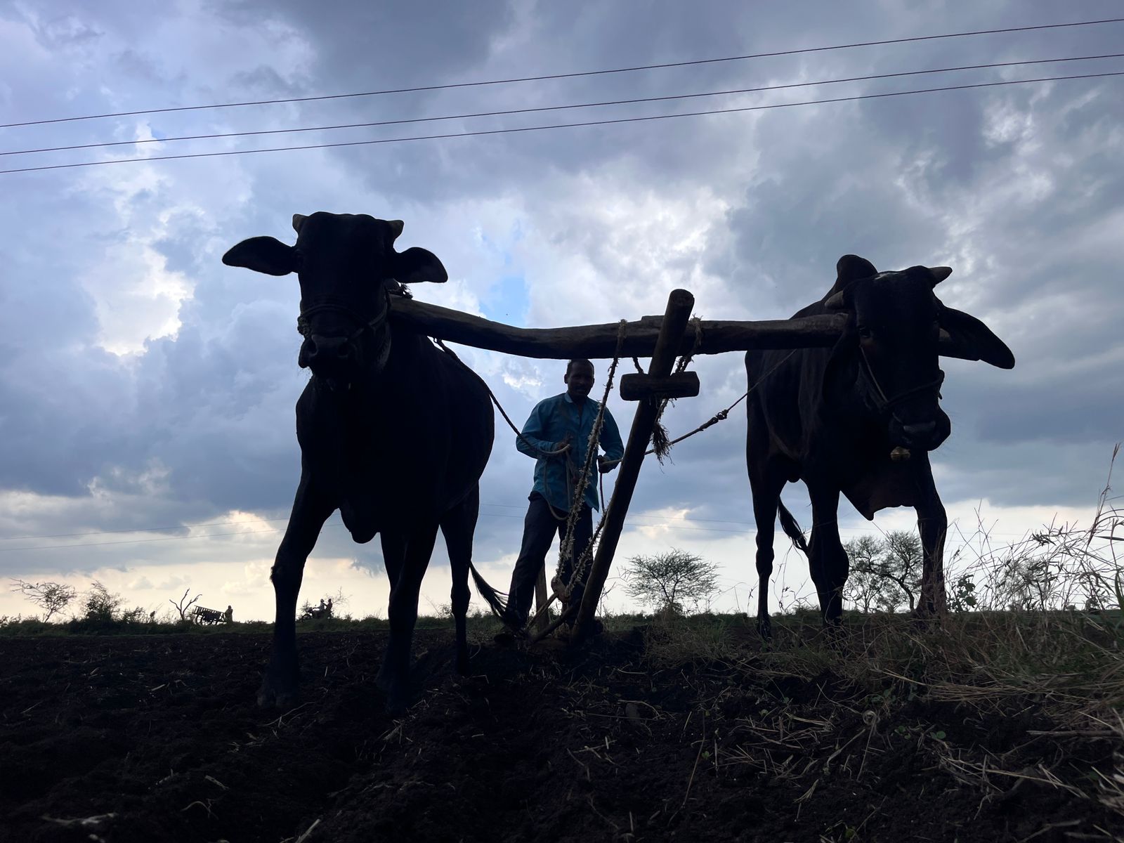 किसानों की आय दोगुना करने के ल‍िए निवेश को और बढ़ाने की जरूरत: आर्थिक सर्वेक्षण
